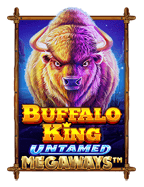 slotciti สมัคร การเดิมพันที่น่าสนใจและคุ้มค่า